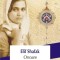 Onoare - Elif Shafak