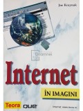 Joe Kraynak - Internet in imagini (editia 2001)