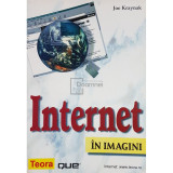 Joe Kraynak - Internet in imagini (editia 2001)