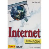 Joe Kraynak - Internet in imagini (Editia: 2001)