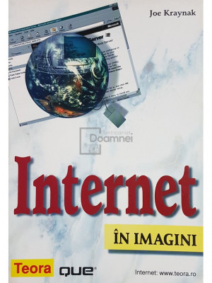 Joe Kraynak - Internet in imagini (editia 2001) foto