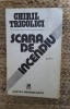 SCARA DE INCENDIU - CHIRIL TRICOLICI