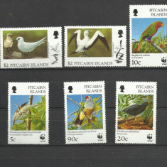 PITCAIRN 1996 WWF FAUNA PROTEJATA PASARI