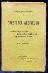 CRESTEREA ALBINELOR de S. P. RADIANU - BUCURESTI, 1904 foto