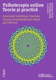 Psihoterapia online. Teorie și practică - Paperback brosat - Arnon Rolnick, Haim Weinberg - Trei