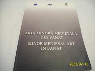arta minora medievala din banat-d. teicu-2009 foto
