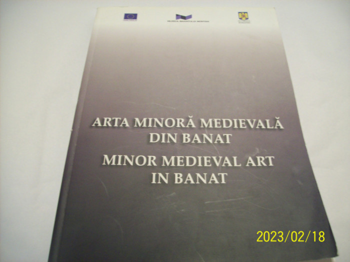 arta minora medievala din banat-d. teicu-2009