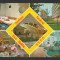 CPIB 19391 CARTE POSTALA - BAILE FELIX. COMPLEX SANATORIAL AL UGSR, MOZAIC