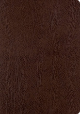 ESV Single Column Journaling Bible, Large Print (Mocha) foto