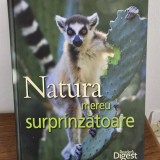 NATURA MEREU SURPRINZATOARE