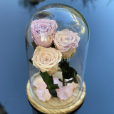 Cumpara ieftin 3 Trandafiri Criogenati lila,roz,mixt &Oslash;6,5cm in cupola 17x28cm
