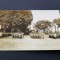 Paradă Militară, Parma Amintire Regiment ,Carte Poștală Veche Italiană 1927 , Piesă de Colecție Rară!