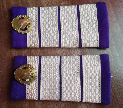 C2 43 - Grade militare - plutonier adjutant principal finante - de colectie! foto