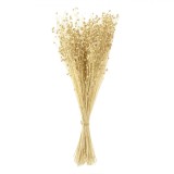 Buchet Decorativ, Crenguțe Artificiale, Boboci Crem, 50cm, Oem