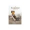 The Breadwinner: A Graphic Novel