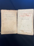 E. Lovinescu - Istoria Literaturii Rom&acirc;ne Contemporane (Vol. I, 1926 &amp; Vol. VI, 1929) - Editura Ancora - Ediții Princeps