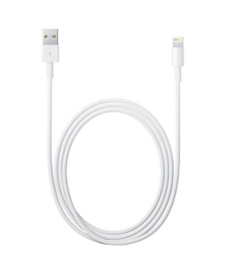 Cablu Date Iphone Lightning MD819ZM/A foto