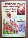 Intamplari extraordinare cu ursi, lupi, vulpi, iepuri