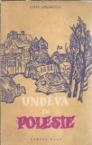 Cumpara ieftin Undeva in Polesie, Lidia Obuhova, roman clasic, editura Cartea Rusa 1958, coperti brosate, format 13x20 cm