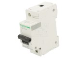 &Icirc;ntrerupător de Supracurent 100A 230/400VAC 1P 10kA