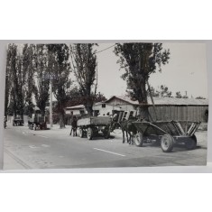 CARUTE IN FATA UNUI DEPOZIT DE MATERIALE DE CONSTRUCTII , FOTOGRAFIE , INCEPUTUL ANILOR &#039; 90