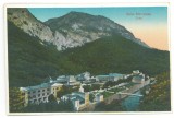 1264 - Baile HERCULANE, Panorama, Romania - old postcard - unused - 1924, Necirculata, Printata