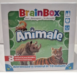 BrainBox - Animale