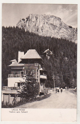 bnk cp Lacul Rosu - Vedere spre Suhard - uzata foto