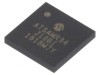 SiP TFBGA64 1,8-3,6VDC 256kB Flash 64BSRAM