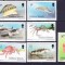 DB1 Fauna Marina 1994 Ins. Falkland 12 v. MNH