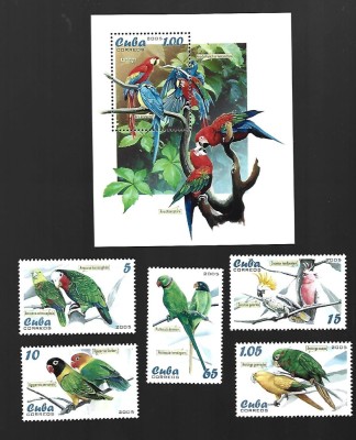 cuba pasari mnh foto