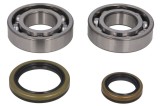 Cumpara ieftin Set lagare arbore cotit pentru BETA EVO 250/300 2009-2021