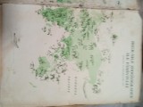 H. Lumea Animalelor după Brehm 1964
