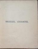 BRUEGEL CIUDATUL - Ion Biberi