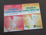 PROBLEME DE ALGEBRA PENTRU LICEU ION PETRICA- CLASELE A IX SI A X A 2 VOL 19/4