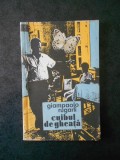 GIAMPAOLO RUGARLI - CUIBUL DE GHEATA