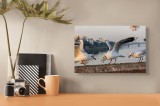 Tablou Canvas Pescăruși și Apus - Artă Scenică Naturală, 39 x 26 cm, CMCLASS