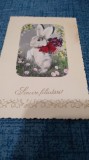 CARTE POSTALA FELICITARE CIRCULATA