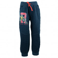 Pantaloni sport pentru baieti E Plus M Testoasele Ninja NIN5211032G-116-cm, Gri foto