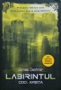 Labirintul. Cod: arșița - 2017 - James Dashner (@K117), Litera