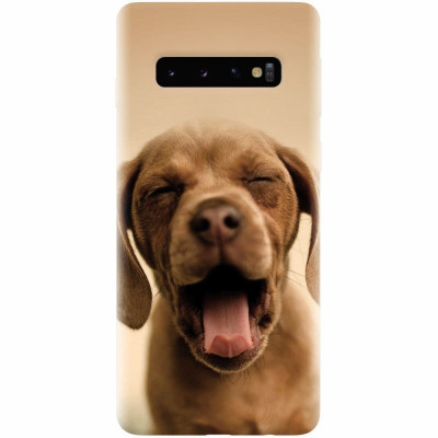 Husa silicon pentru Samsung Galaxy S10 Plus, Cute Yawning Puppy foto