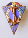 INSIGNA MARINA MILITARA ARMATA APARARE MARINAR ( CITITI DESCRIEREA )