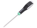 Şurubelniţă Torx&reg; TX15 100mm