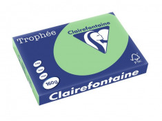 Carton color Clairefontaine Pastel A3 naturale green foto