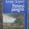 Pictorul peregrin - ARVAY ARPAD