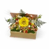 Aranjament floral in carte cu trandafir criogenat si plante stabilizate