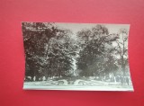CARTE POSTALA - RPR - BRAILA - LACUL SARAT - VEDERE DIN PARC