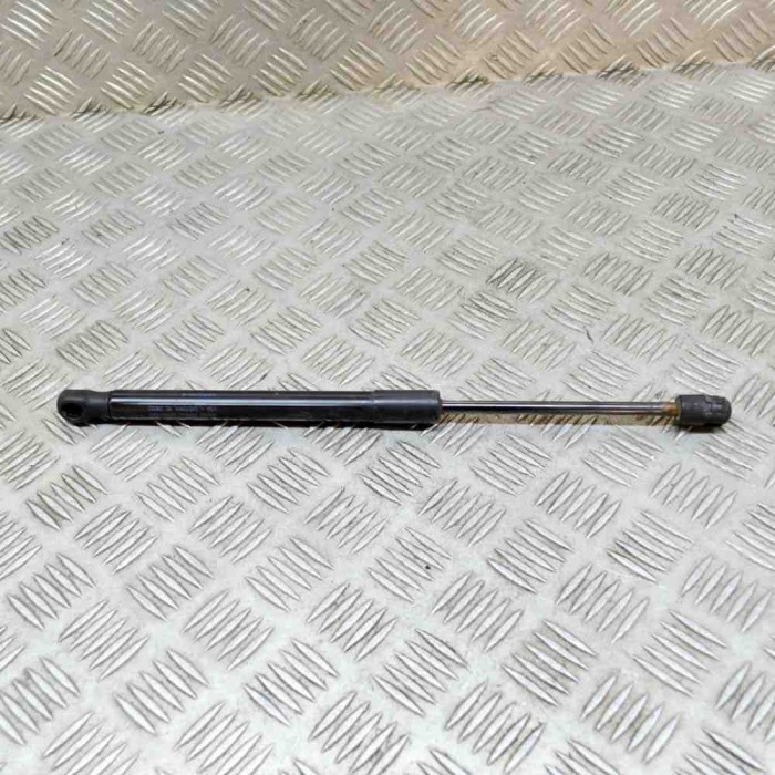 Amortizor capota st&acirc;nga față TESLA MODEL 3 2020 OEM: 1091472-00-B 14902908