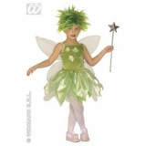 Costum carnaval Tinkerbell/Zana frunzelor