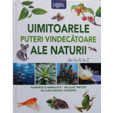 Uimitoarele puteri vindecatoare ale naturii de la A la Z